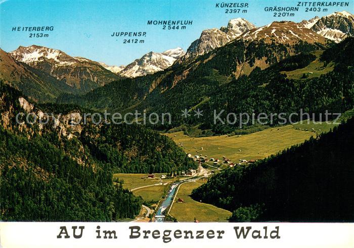 Au Bregenzerwald Vorarlberg mit Bergpanorama Fliegeraufnahme