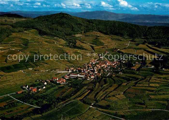 Bickensohl Fliegeraufnahme Hotel Restaurant Rebstock
