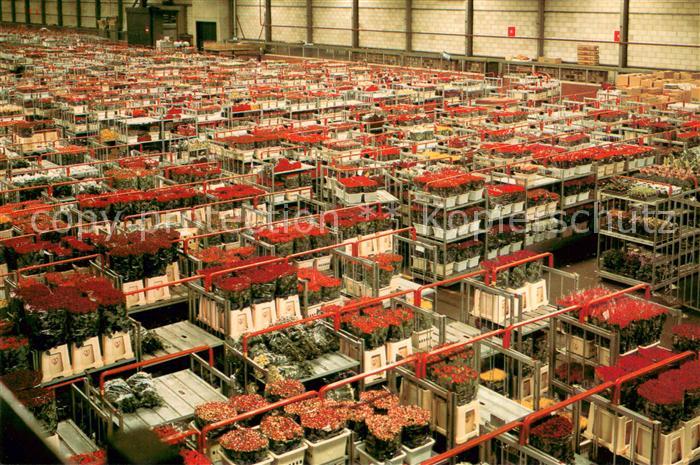 Aalsmeer World Flower Centre