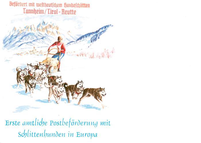 Tannheim Tirol Hundeschlitten-Rennen Kuenstlerkarte Erste amtliche Postbefoerder