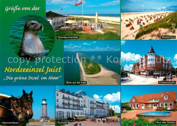 Juist Nordseebad Gruene Insel im Meer Seehund Strand Promenade Memmertfeuer Pfer