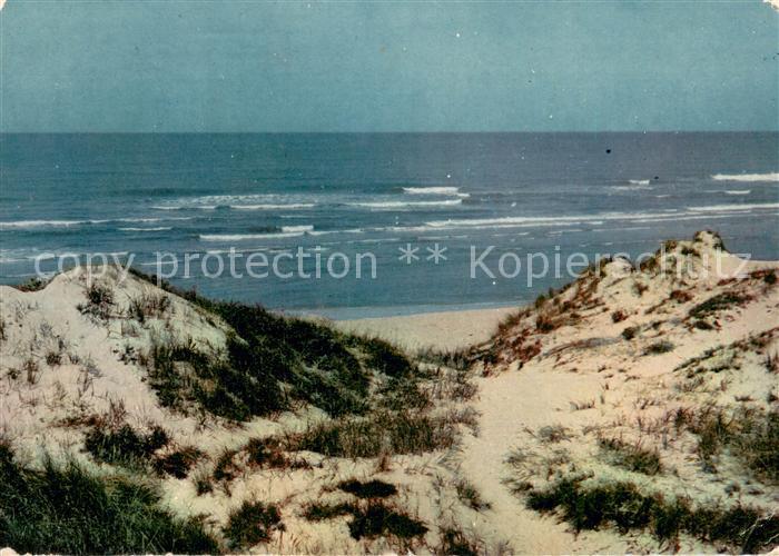 Juist Nordseebad Duenen Strand Meer