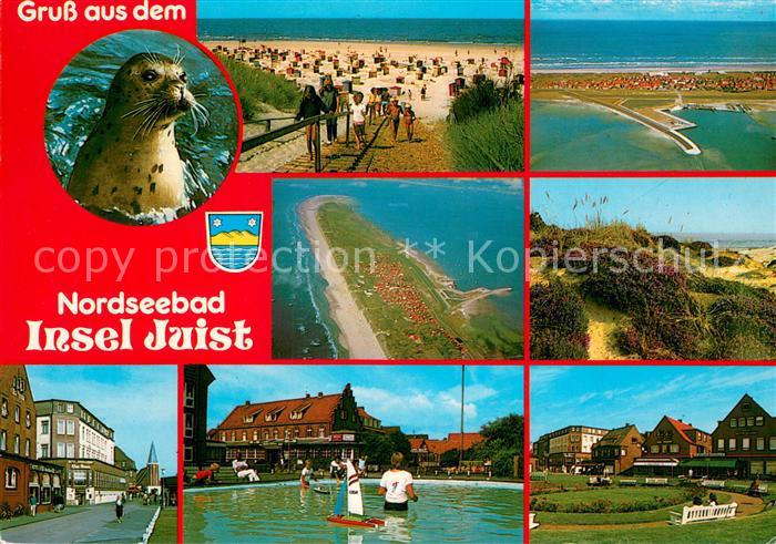 Juist Nordseebad Seeloewe Strandleben Duenen Spielteich Kurpark Ortsmotiv Fliege