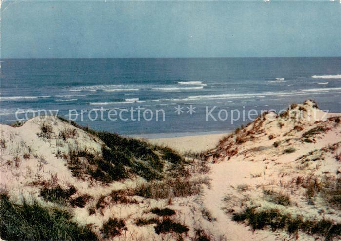 Juist Nordseebad Duenen Strand Meer