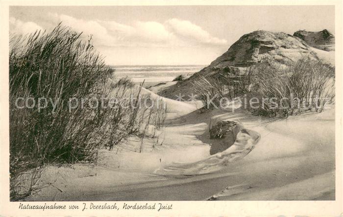 Juist Nordseebad Partie in den Duenen