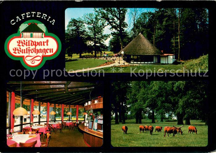 Wulfshagen Tuettendorf Cafeteria Wildpark Wulfshagen Gastraum Wildgehege