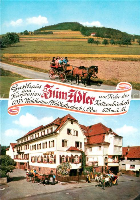 Waldkatzenbach Gasthaus Kurpension Zum Adler Pferdekutschen Panorama