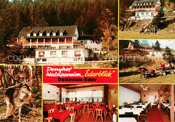 Dodenau Ponyhof Waldpension Ederblick Gastraeume Pferdekutsche Hirsch