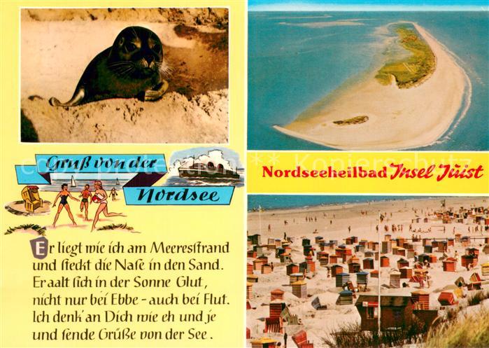 Insel Juist Robbe Fliegeraufnahme Badestrand