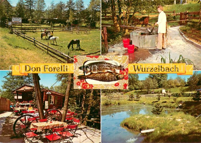Wurzelbach Kiosk und Fischbraterei Zum Don Forelli Pferdekoppel Terrasse Fischte