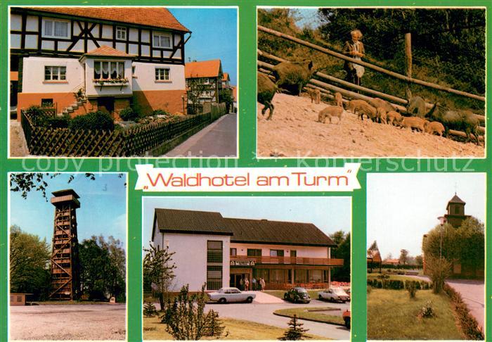 Burgholz Kirchhain Waldhotel am Turm Wildschweine Park