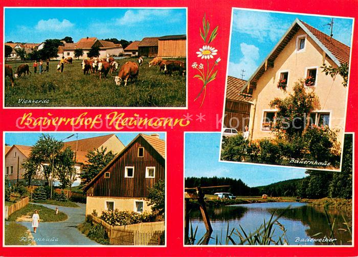 Friedersreuth Viehherde Bauernhof Neumann Bauernhaus Ferienhaus Badeweiher