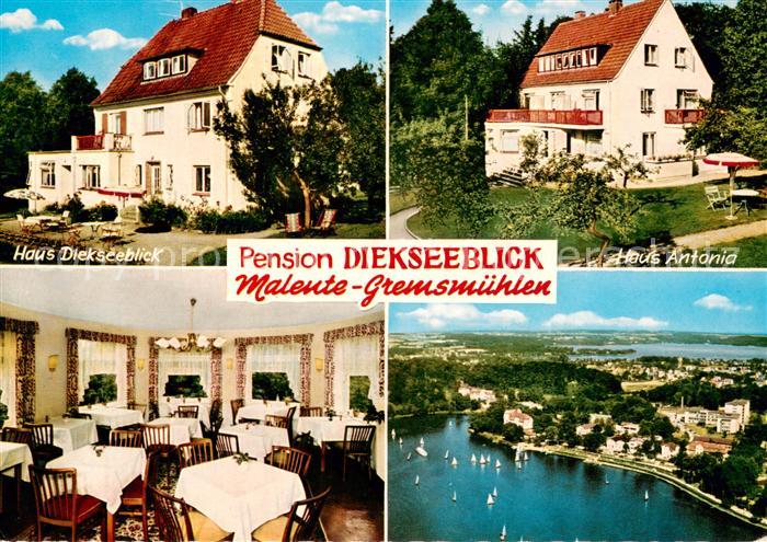 Malente-Gremsmuehlen Pension Diekseeblick Gaststube Haus Antonia Diekseepanorama