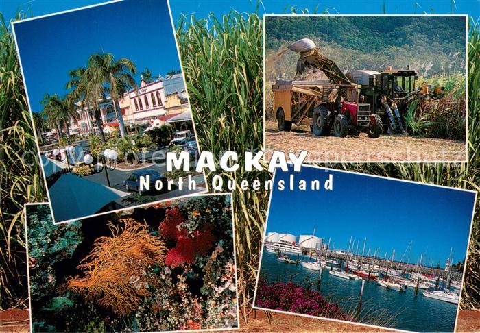 Mackay Queensland Strassenpartie Garten Ernte Yachthafen