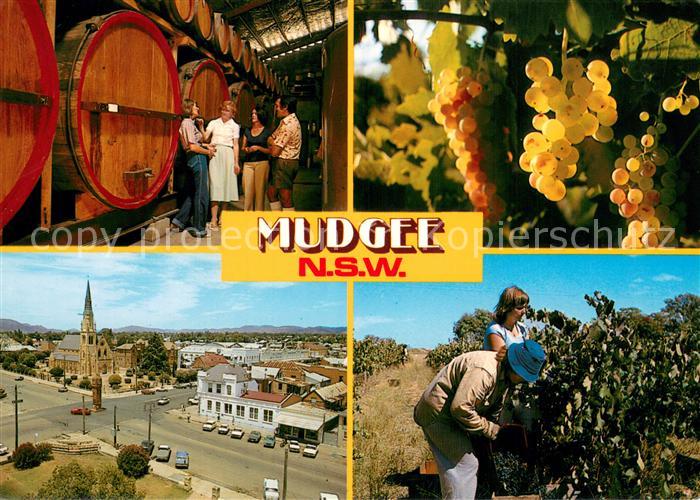 Mudgee Wine making in Mudgee Panorama