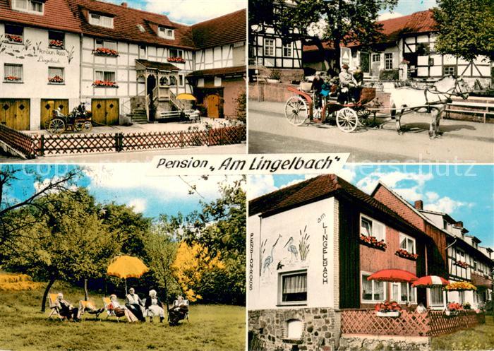 Rengshausen Hessen Pension Am Lingelbach Liegewiese Terrasse Pferdekutsche