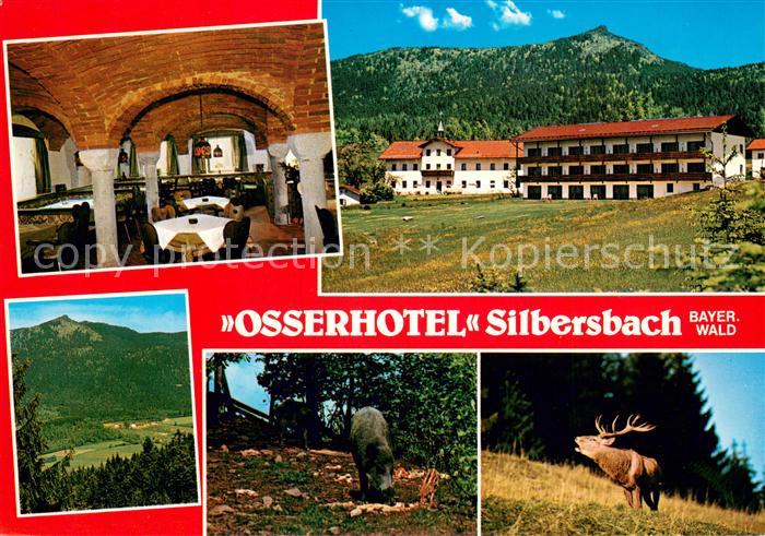Silbersbach Osserhotel Gastraum Panorama Wildgehege