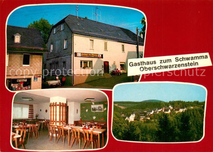 Schwarzenstein Wald Gasthaus zum Schwamma Gaststube Panorama
