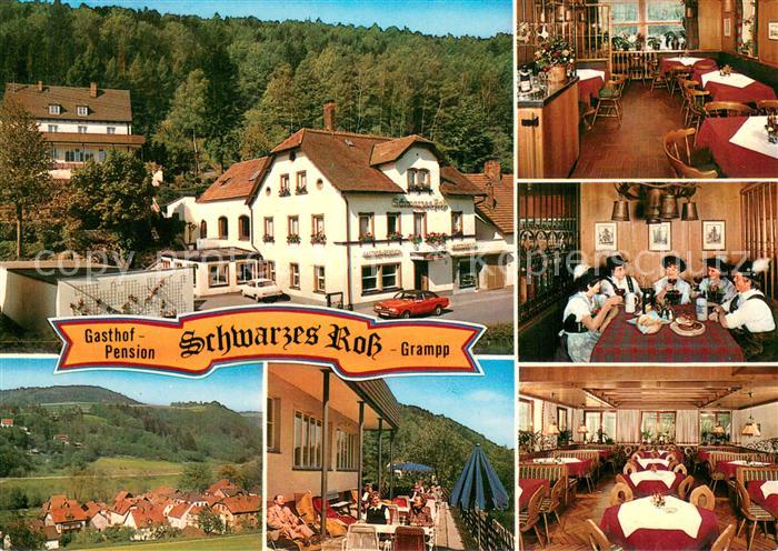 Goldmuehl Fichtelgebirge Gasthof Pension Schwarzes Ross Gastraeume Terrasse Pano