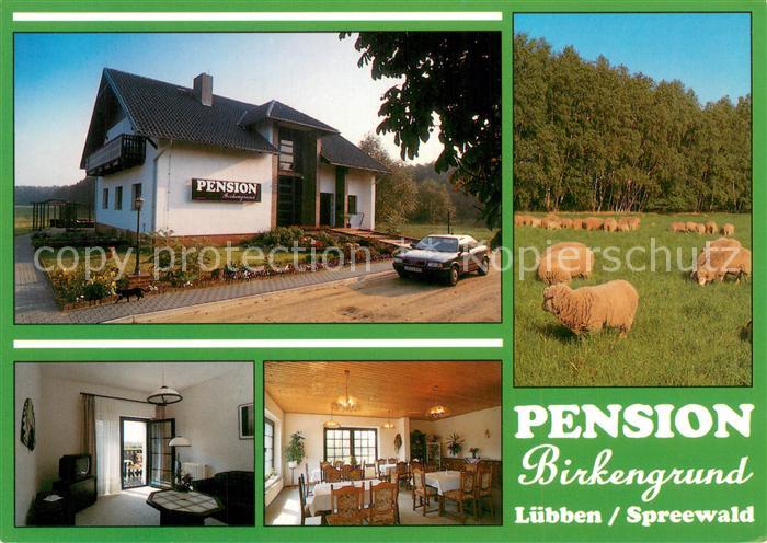 Luebben Spreewald Pension Birkengrund Gastraum Fremdenzimmer Schafherde