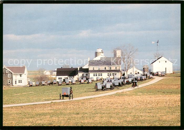 Intercourse PA Amish Seasons An Amish wedding Horse drawn carriages