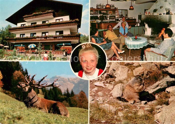 STUTTGART  CITY Pension Alpina Cafe Gaststube Hirsch Murmeltier