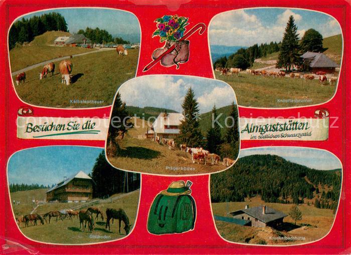 Bernau Schwarzwald Krunkelbachhuette Kaelbelescheuer Knoepflesbrunnen Gisiboden