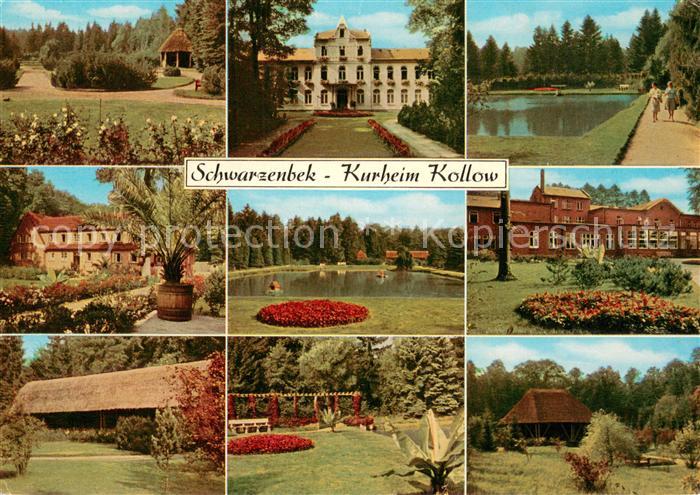 Schwarzenbek Kurheim Kollow Park Teichanlage Teilansichten