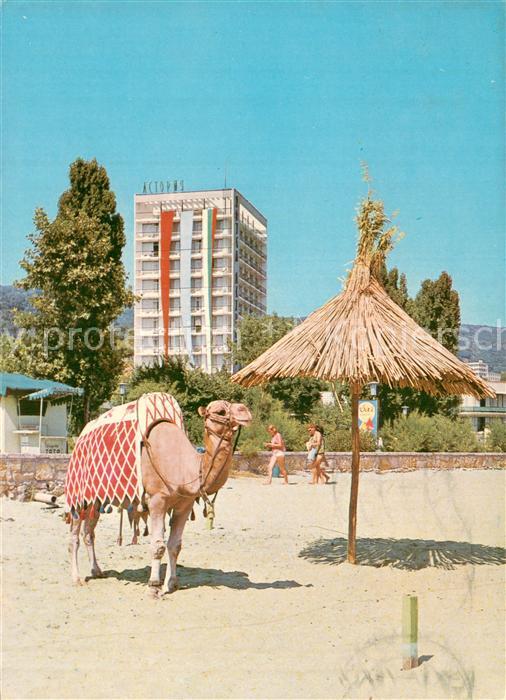 Varna Warna Bulgaria Slatni Pjassazi Hotel Astorija m. Kamel