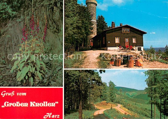 Herzberg Harz Gerggaststaette Grosser Knollen Teilansichten