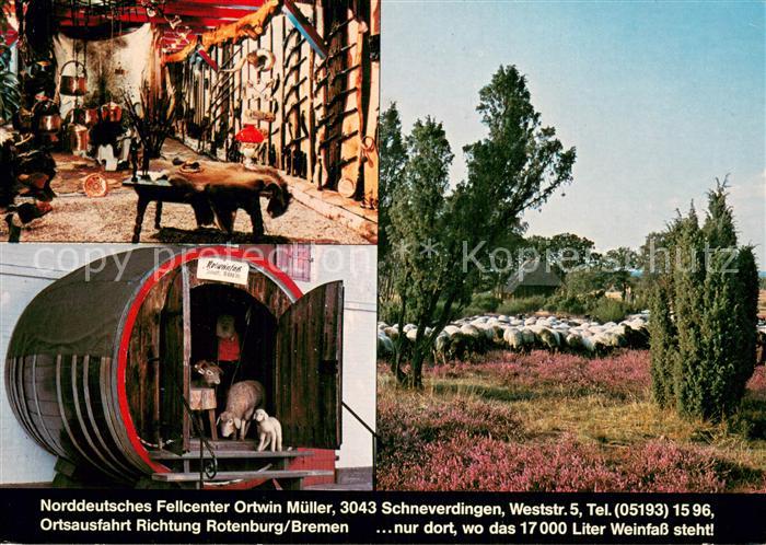 Schneverdingen Norddeutsches Fellcenter Heidelandschaft Heidschnucken