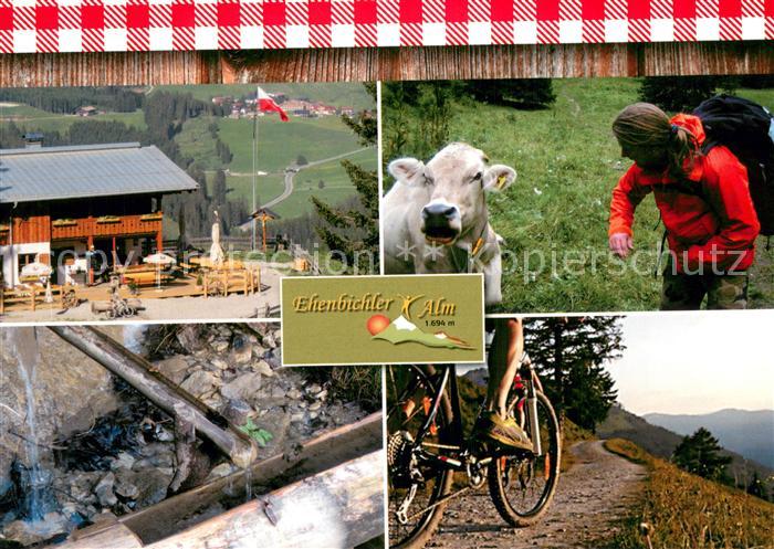 Reutte Tirol Ehenbichler Alm Terrasse Kuh Bergtour Brunnen
