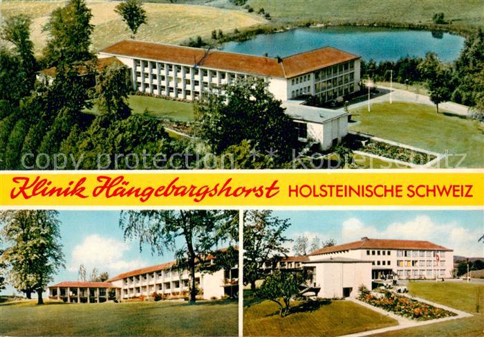 Krummsee Holstein Klinik Haengebargshorst