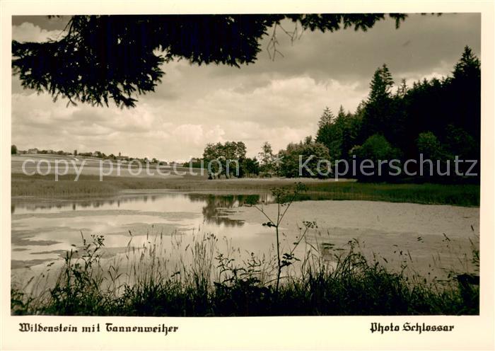 Wildenstein Fichtenau Uferpartie am Tannenweiher
