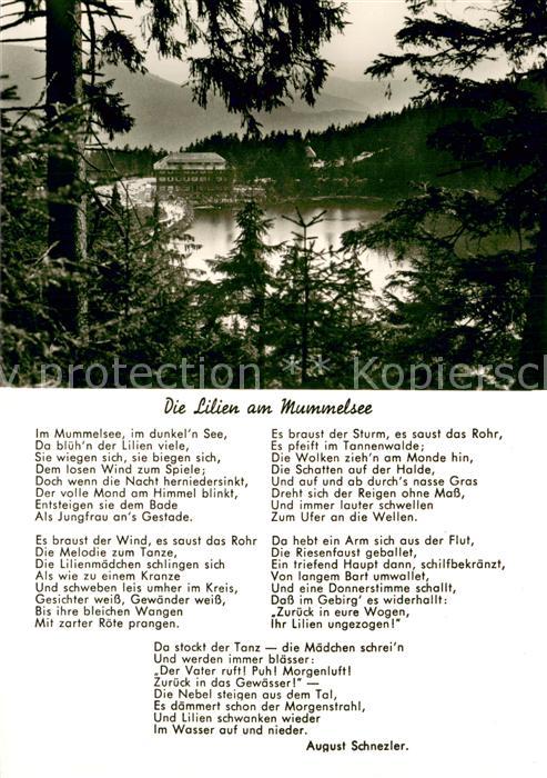 Sasbachwalden Berghotel Die Lilien am Mummelsee Gedicht August Schnezler