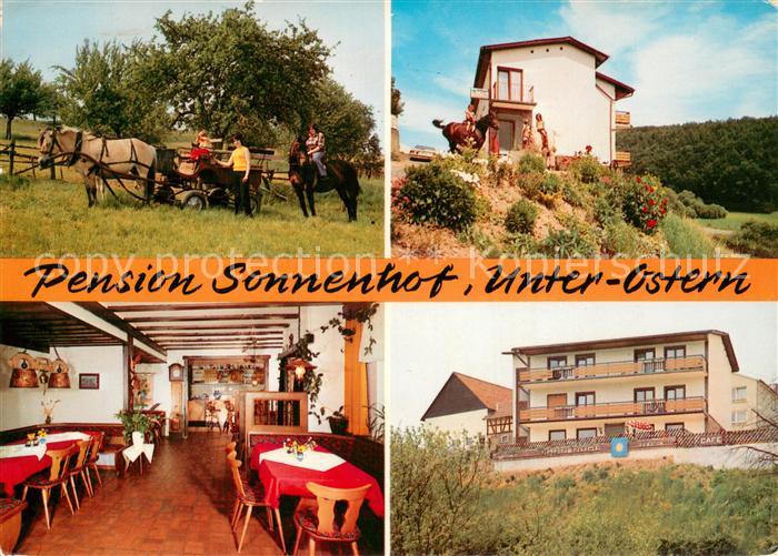 Unter-Ostern Pension Sonnenhof Gaststaette Ponykutsche Reiten