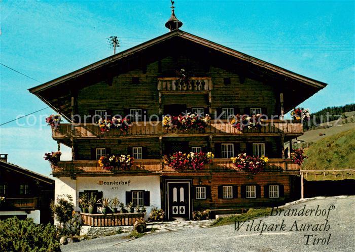 Kitzbuehel Tirol Wildpark Aurach Branderhof