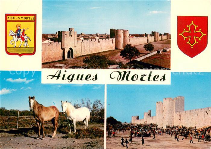 Aigues-Mortes 30 Stadtmauer Camargue Pferde