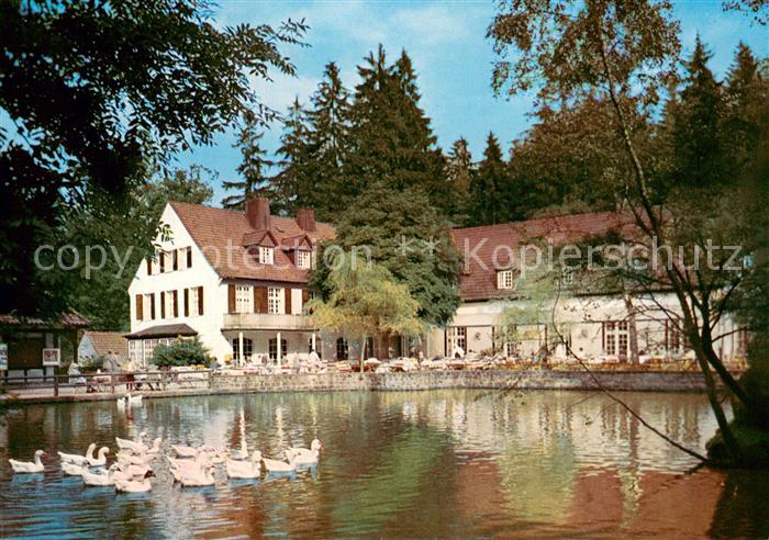 Leopoldstal Lippe Waldhotel und Pension Silbermuehle Schwanenteich