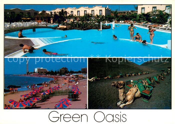 Maspalomas Gran Canaria Bungalows Green Oasis Schwimmbad Strand Kamele