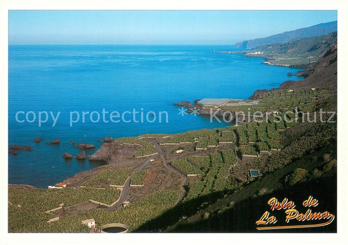 Isla de la Palma Vista del cultivo en terrazas entre Fuencaliente y Los Llanos