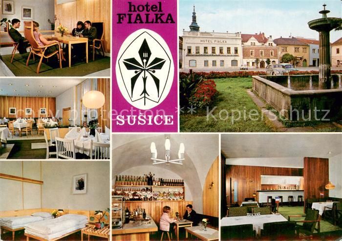 Susice Hotel Fialka Gastraeume Brunnen Zimmer