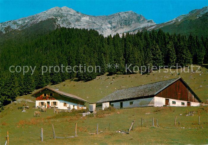 Lermoos Tirol Duftalm mit Ups und Danielspitze