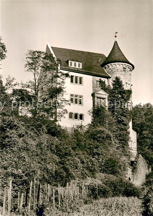 Wiesloch Jugendburg Schloss Rotenberg