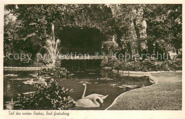 Bad Godesberg Park mit Schwanenteich