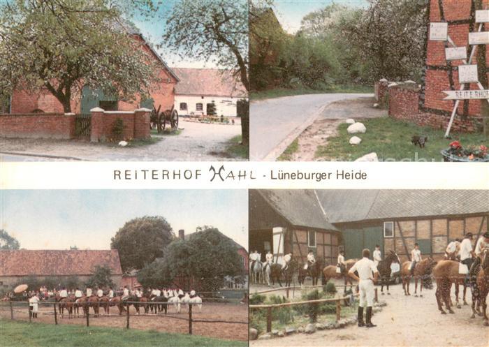 Lueneburger Heide Reiterhof Hahl Details