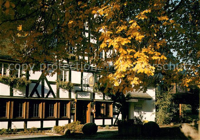 Eslohe Sauerland Hotel Forellenhof Poggel