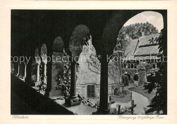 HILDESHEIM  CITY 1000jaehriger Rosenstock