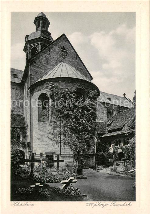 HILDESHEIM  CITY 1000jaehriger Rosenstock