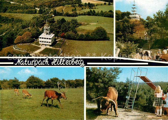 Haren Ems Naturpark Hilterberg Cafe Hilterberg Fliegeraufnahme Rotwild Spielplat